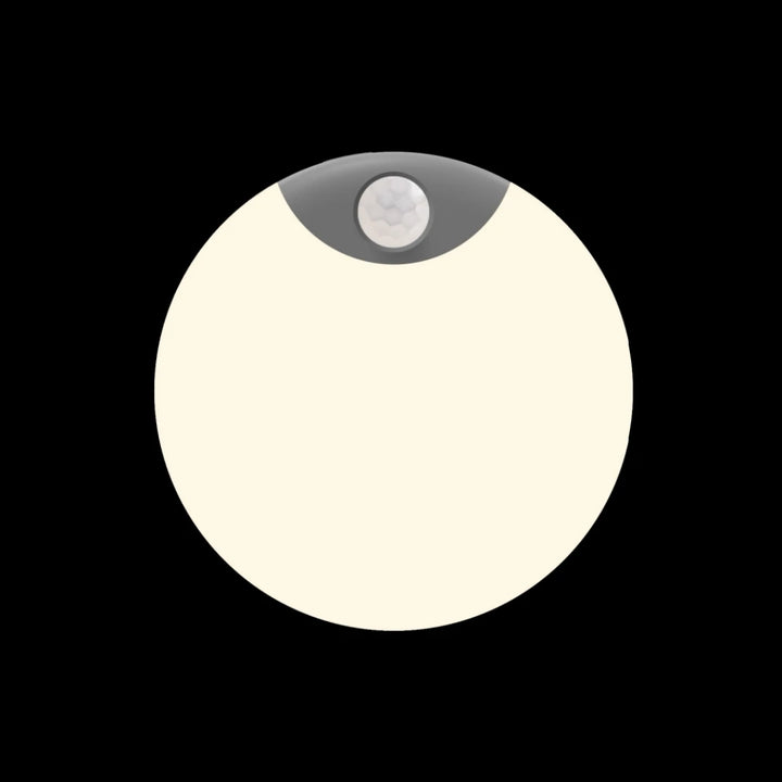 Motion Sensor Led Light