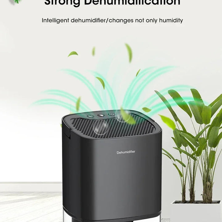 Mini Dehumidifier Household Air Filter
