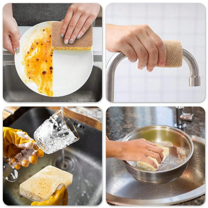 eco-friendly sponge- tableware Biodegradable compostable cellulose and coconut scrubbing sponge